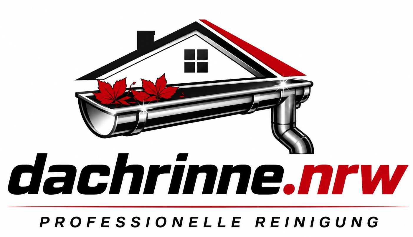 Logo Dachrinnen Service in NRW